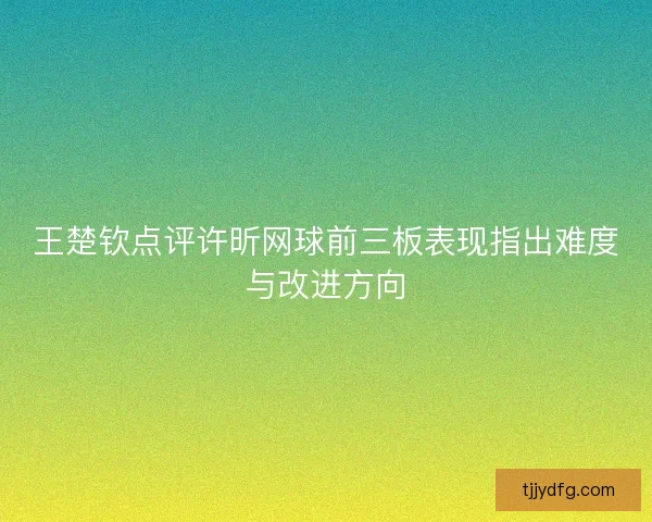 王楚钦点评许昕网球前三板表现指出难度与改进方向