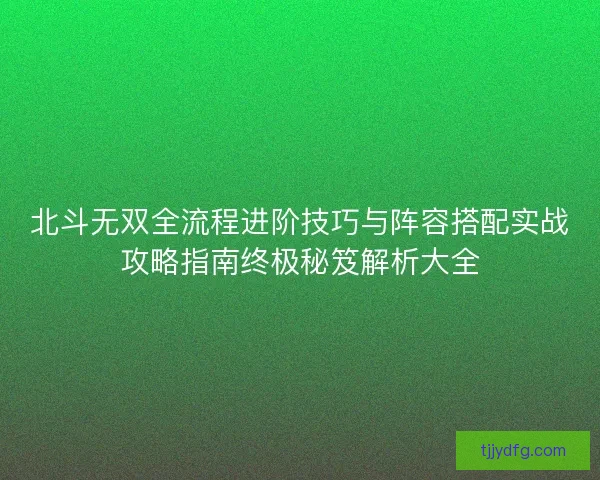 北斗无双全流程进阶技巧与阵容搭配实战攻略指南终极秘笈解析大全