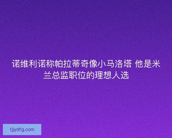 诺维利诺称帕拉蒂奇像小马洛塔 他是米兰总监职位的理想人选 诺维利诺称帕拉蒂奇像小马洛塔 他是米兰总监职位的理想人选